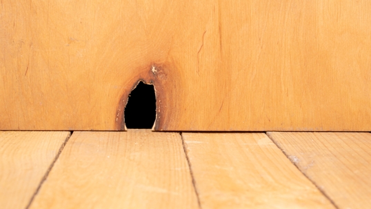 Hole from the mouse in the wall.