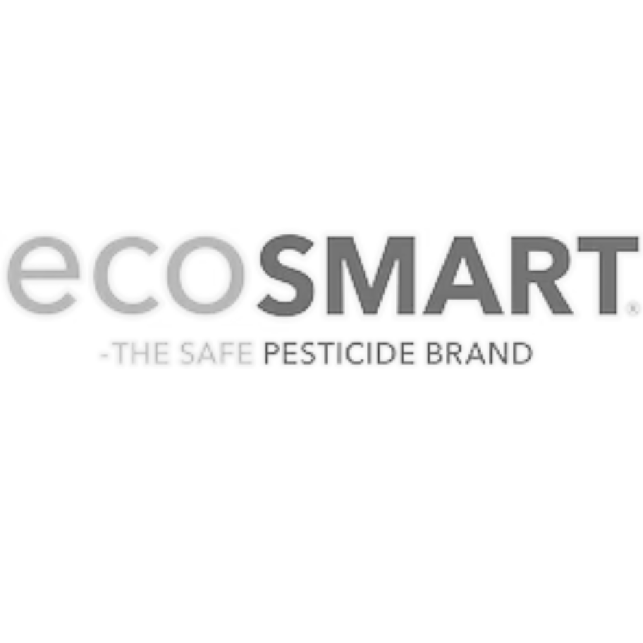 EcoSmart