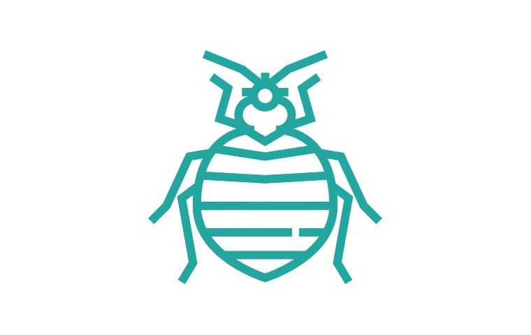 Bed Bugs